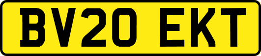 BV20EKT
