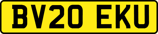 BV20EKU