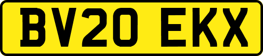 BV20EKX