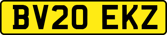 BV20EKZ