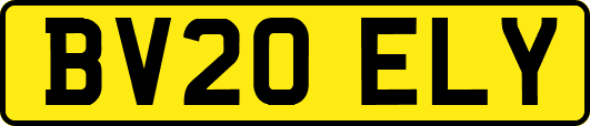 BV20ELY