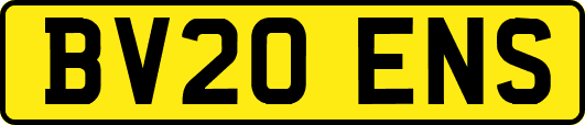 BV20ENS