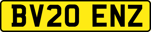 BV20ENZ