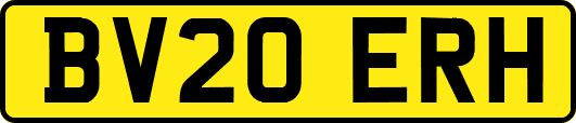 BV20ERH