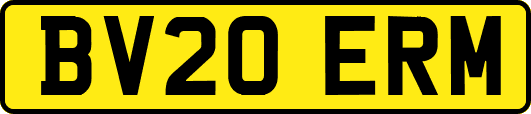 BV20ERM