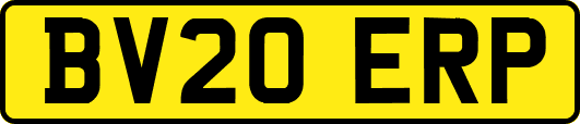 BV20ERP