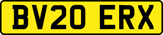 BV20ERX