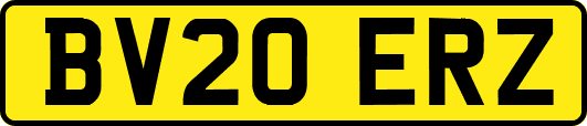 BV20ERZ