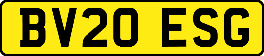BV20ESG