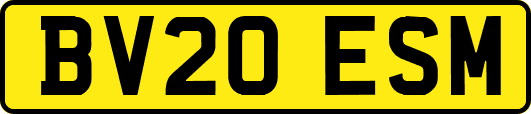 BV20ESM