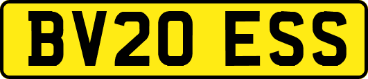 BV20ESS
