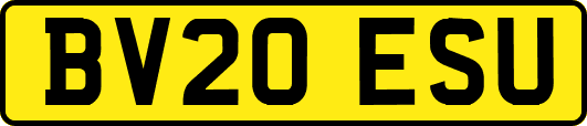 BV20ESU