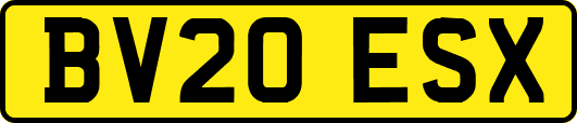 BV20ESX