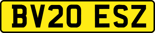 BV20ESZ