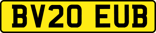 BV20EUB