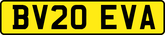 BV20EVA