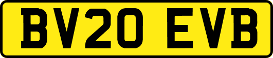 BV20EVB