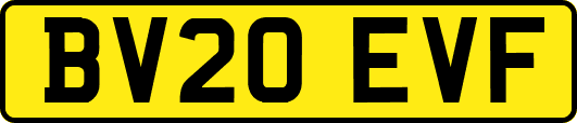 BV20EVF