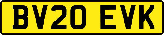 BV20EVK