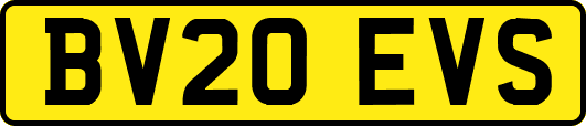 BV20EVS