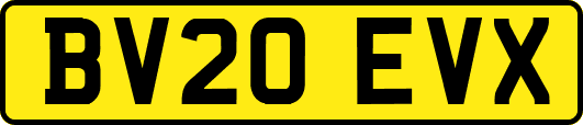 BV20EVX