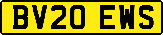 BV20EWS