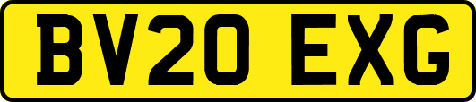 BV20EXG