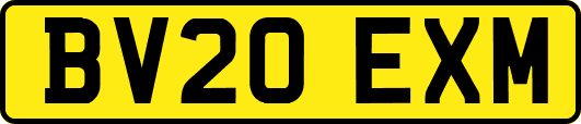 BV20EXM