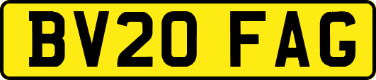 BV20FAG