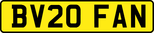 BV20FAN