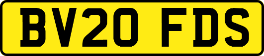 BV20FDS