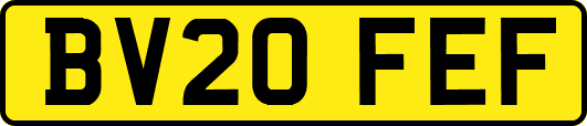 BV20FEF