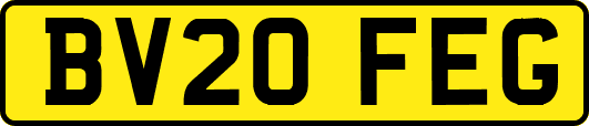 BV20FEG