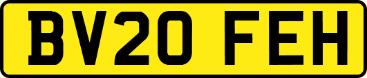 BV20FEH