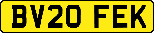 BV20FEK