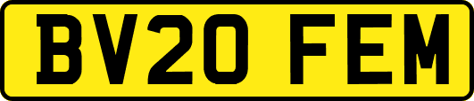BV20FEM
