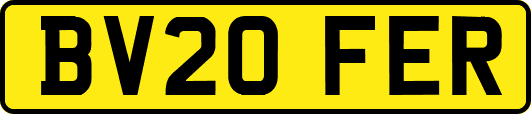 BV20FER
