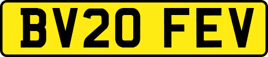 BV20FEV