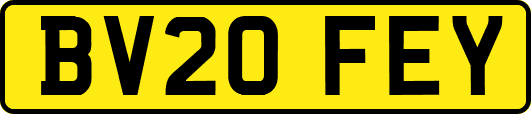 BV20FEY
