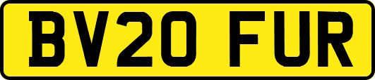 BV20FUR