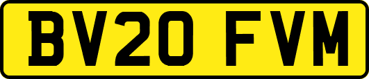BV20FVM