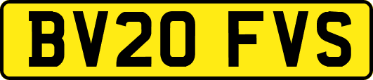 BV20FVS