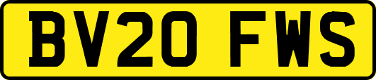 BV20FWS