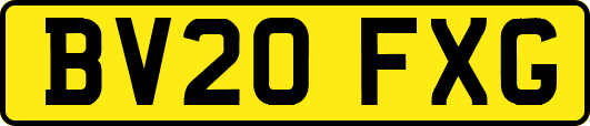 BV20FXG