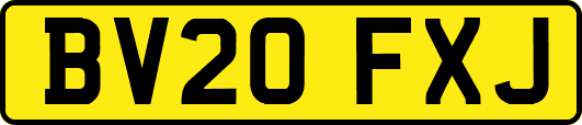 BV20FXJ