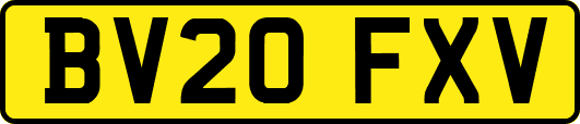 BV20FXV