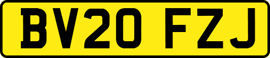 BV20FZJ