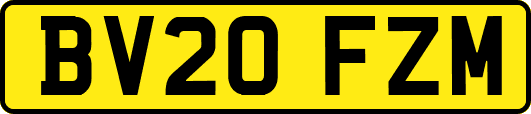 BV20FZM