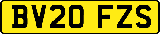 BV20FZS