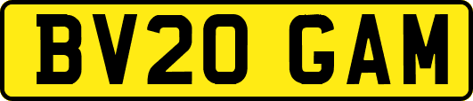 BV20GAM